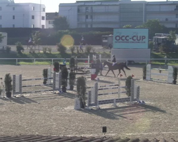 Reitturnier Bülach 2023