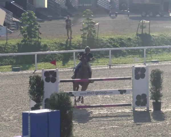 Reitturnier Bülach 2023