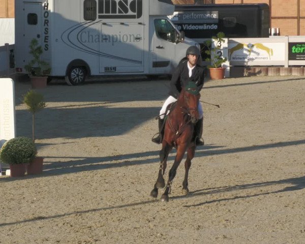 Reitturnier Winterlingen 2023