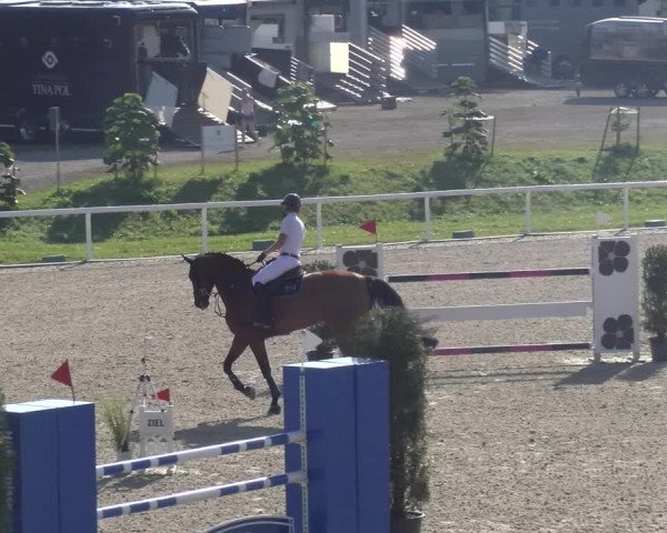 Reitturnier Bülach 2023