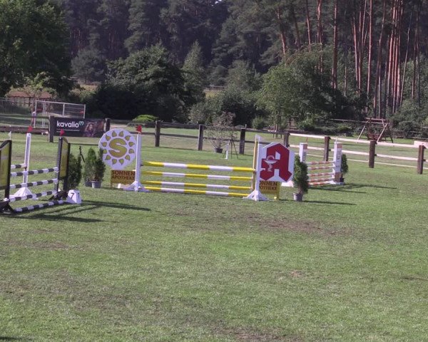 Reitturnier Niemegk / Neuendorf 2023