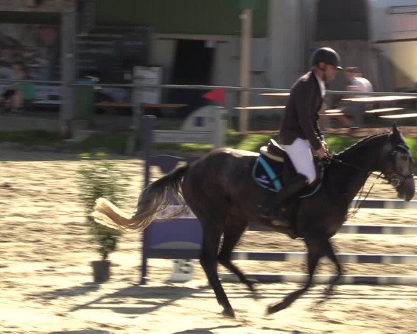 Reitturnier Dortmund-Barop 2023