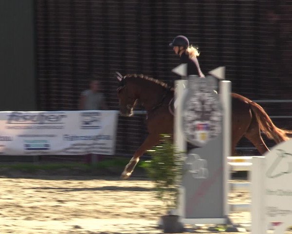 Reitturnier Dortmund-Barop 2023