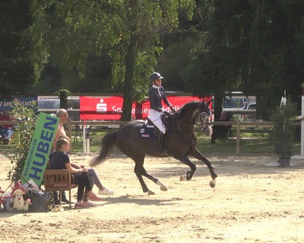 Springturnier Walldorf/Winterheck 2021