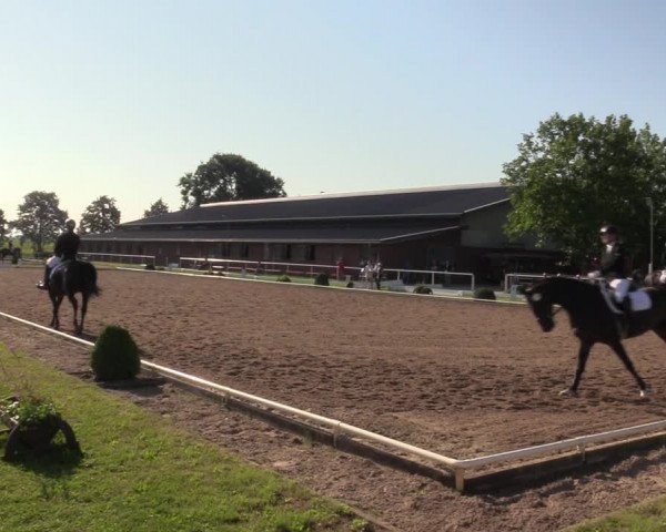 Reitturnier Münchehofe 2023