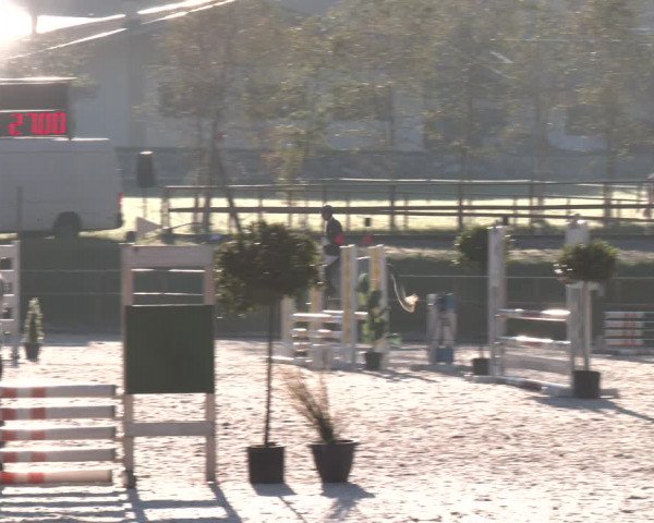 Reitturnier St. Ulrich am Pillersee 2023