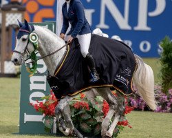 jumper Keila des Bruyeres (Belgian Warmblood, 2010, from Corratus)