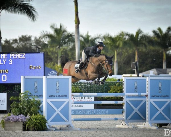 Jumper Chacco Fly 3 (Mecklenburger, 2013, from Chacco-Blue)