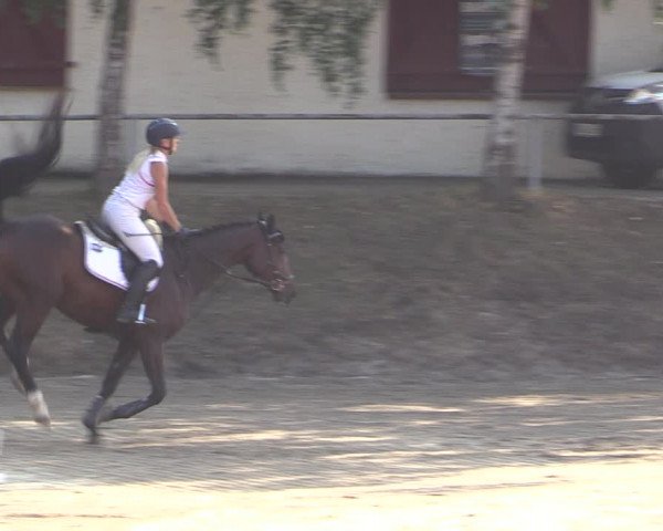 Reitturnier Langenleuba - Oberhain 2023