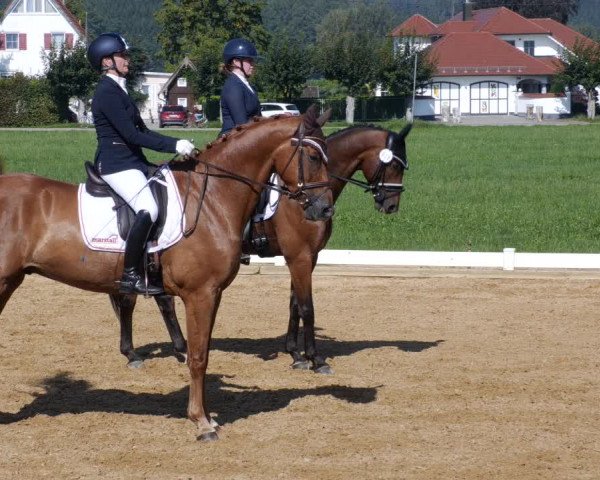 Reitturnier Babenhausen 2023