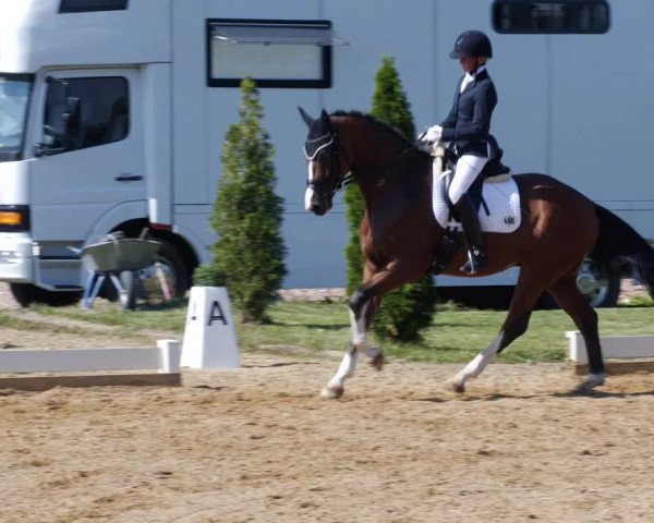 Reitturnier Babenhausen 2023
