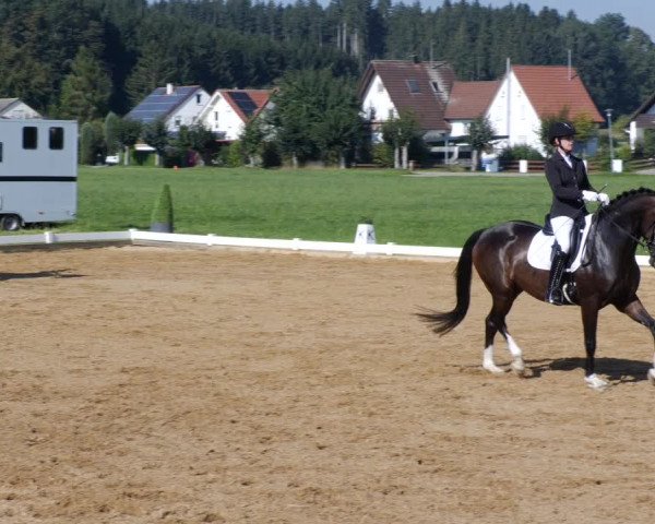 Reitturnier Babenhausen 2023