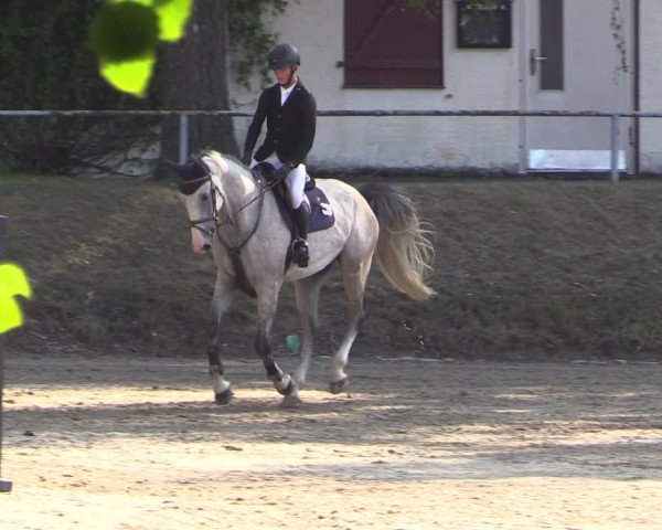 Reitturnier Langenleuba - Oberhain 2023