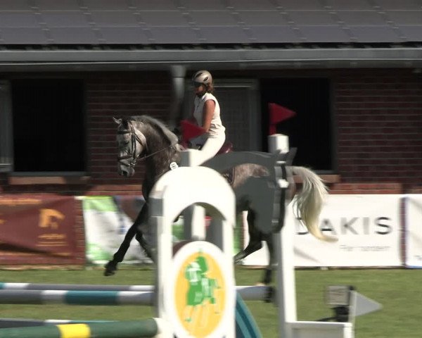 Reitturnier Münchehofe 2023