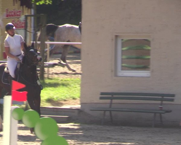 Reitturnier Langenleuba - Oberhain 2023