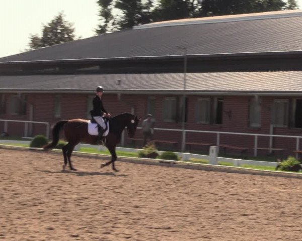 Reitturnier Münchehofe 2023