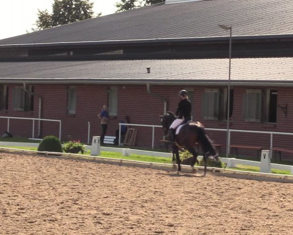 Reitturnier Münchehofe 2023