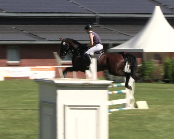 Reitturnier Münchehofe 2023