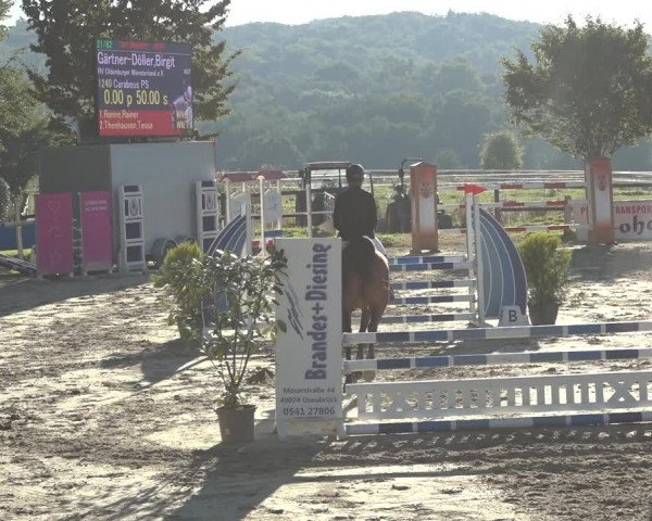Reitturnier Osnabrück 2023