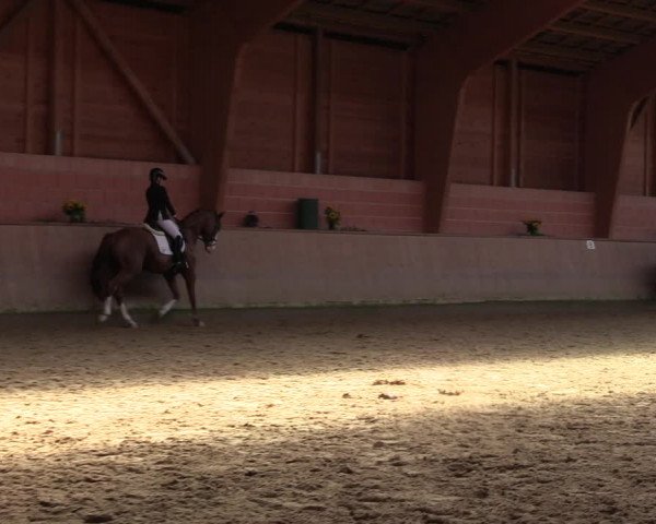 Reitturnier Dortmund-Barop 2023