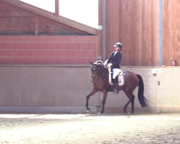 Reitturnier Dortmund-Barop 2023