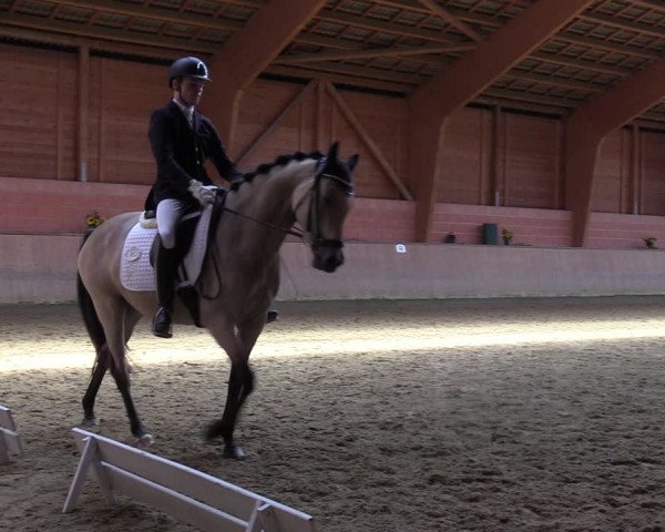 Reitturnier Dortmund-Barop 2023