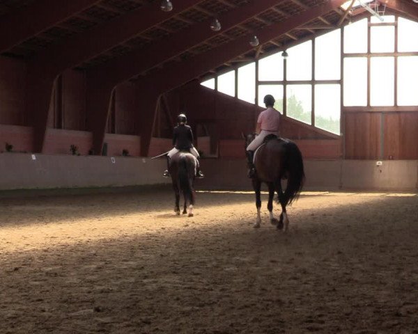 Reitturnier Dortmund-Barop 2023