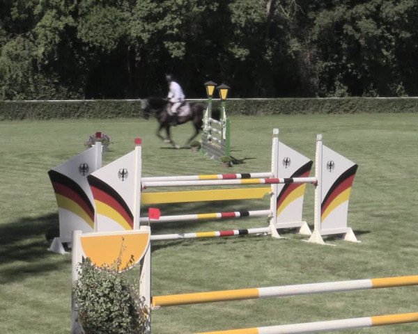Reitturnier Westeregeln 2023