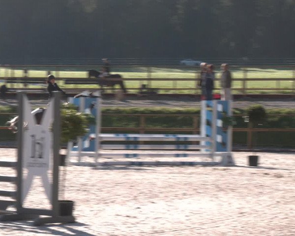 Reitturnier St. Ulrich am Pillersee 2023