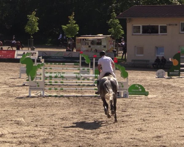 Reitturnier Langenleuba - Oberhain 2023