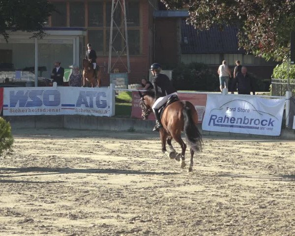 Reitturnier Osnabrück 2023