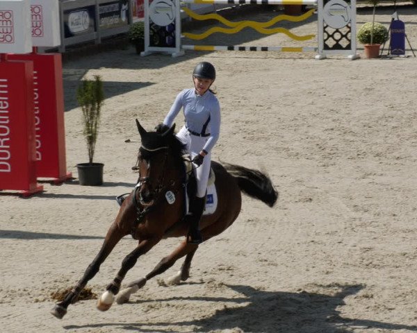 Reitturnier Winterlingen 2023