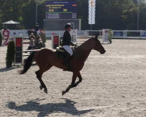 Reitturnier Babenhausen 2023