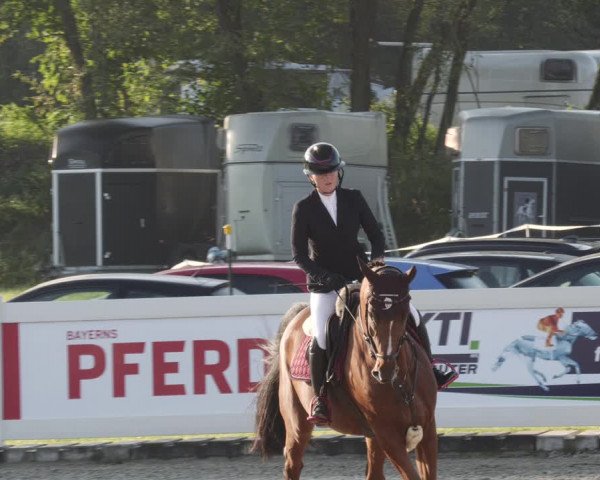 Reitturnier Babenhausen 2023