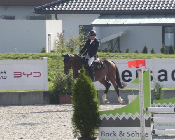 Reitturnier Babenhausen 2023