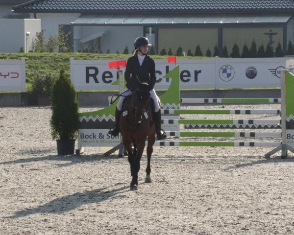 Reitturnier Babenhausen 2023