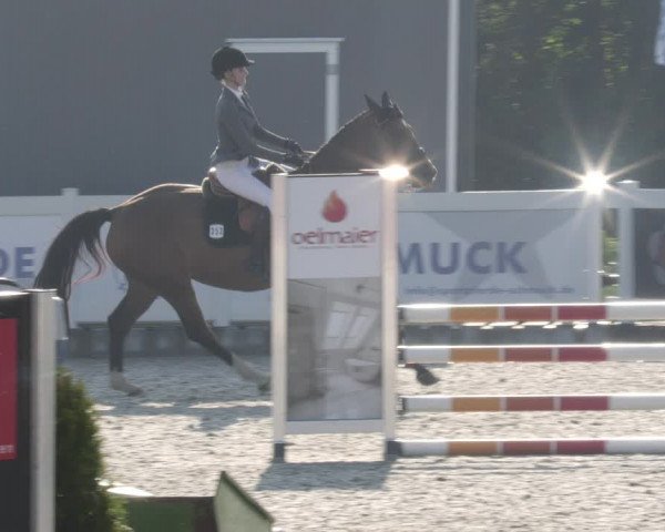 Reitturnier Babenhausen 2023