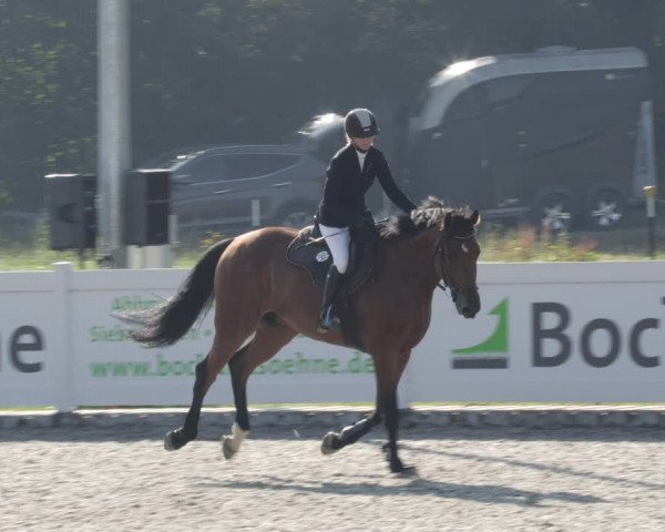 Reitturnier Babenhausen 2023
