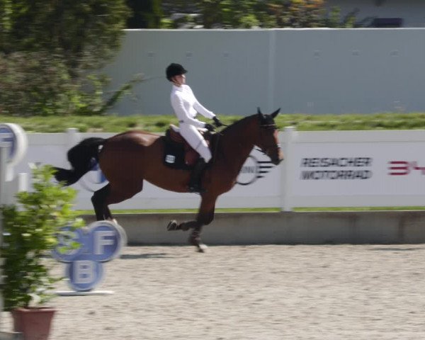 Reitturnier Babenhausen 2023