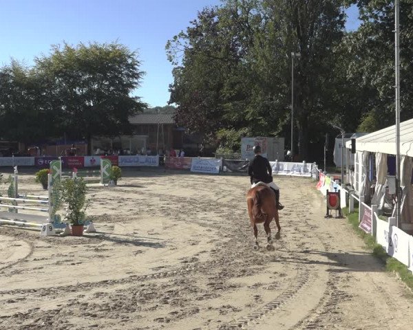 Reitturnier Osnabrück 2023