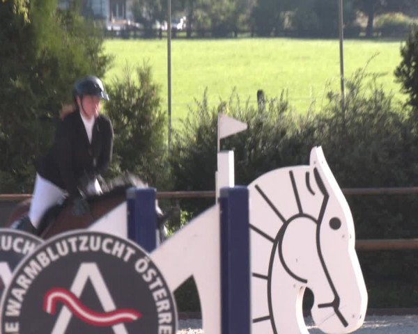 Reitturnier St. Ulrich am Pillersee 2023