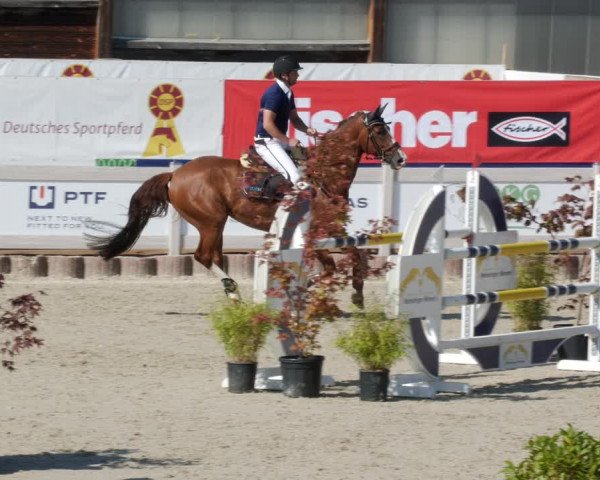 Reitturnier Winterlingen 2023