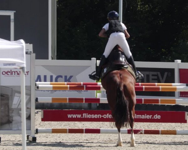 Reitturnier Babenhausen 2023