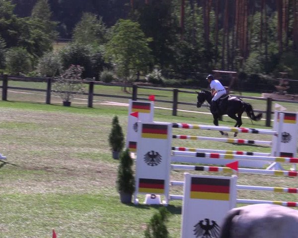 Reitturnier Niemegk / Neuendorf 2023