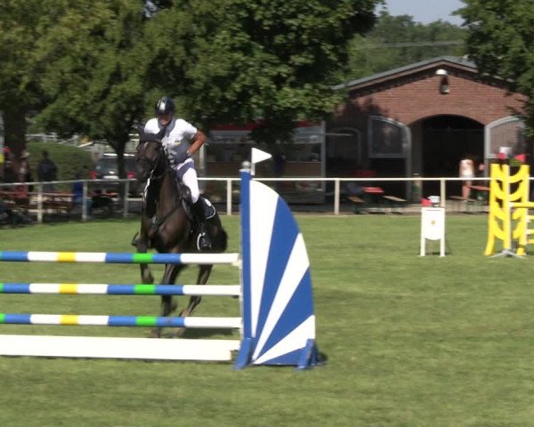Reitturnier Münchehofe 2023