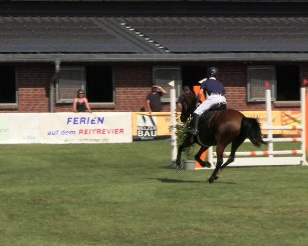 Reitturnier Münchehofe 2023