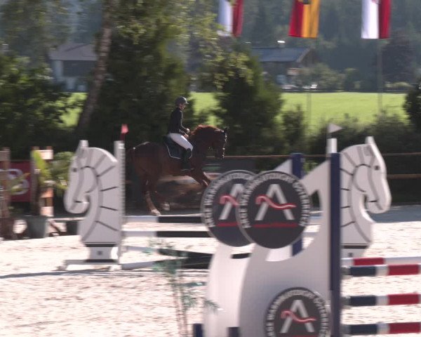 Reitturnier St. Ulrich am Pillersee 2023
