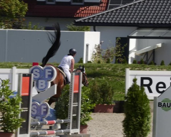 Reitturnier Babenhausen 2023