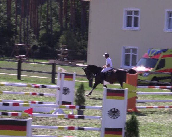 Reitturnier Niemegk / Neuendorf 2023