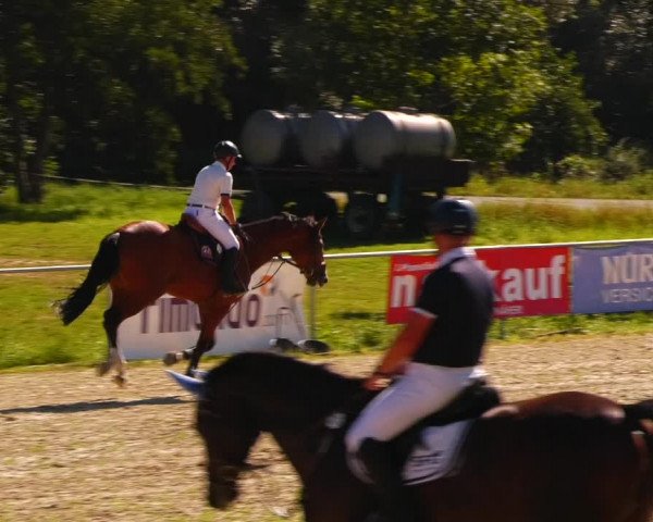 Reitturnier Bad Liebenstein/Sorga 2023